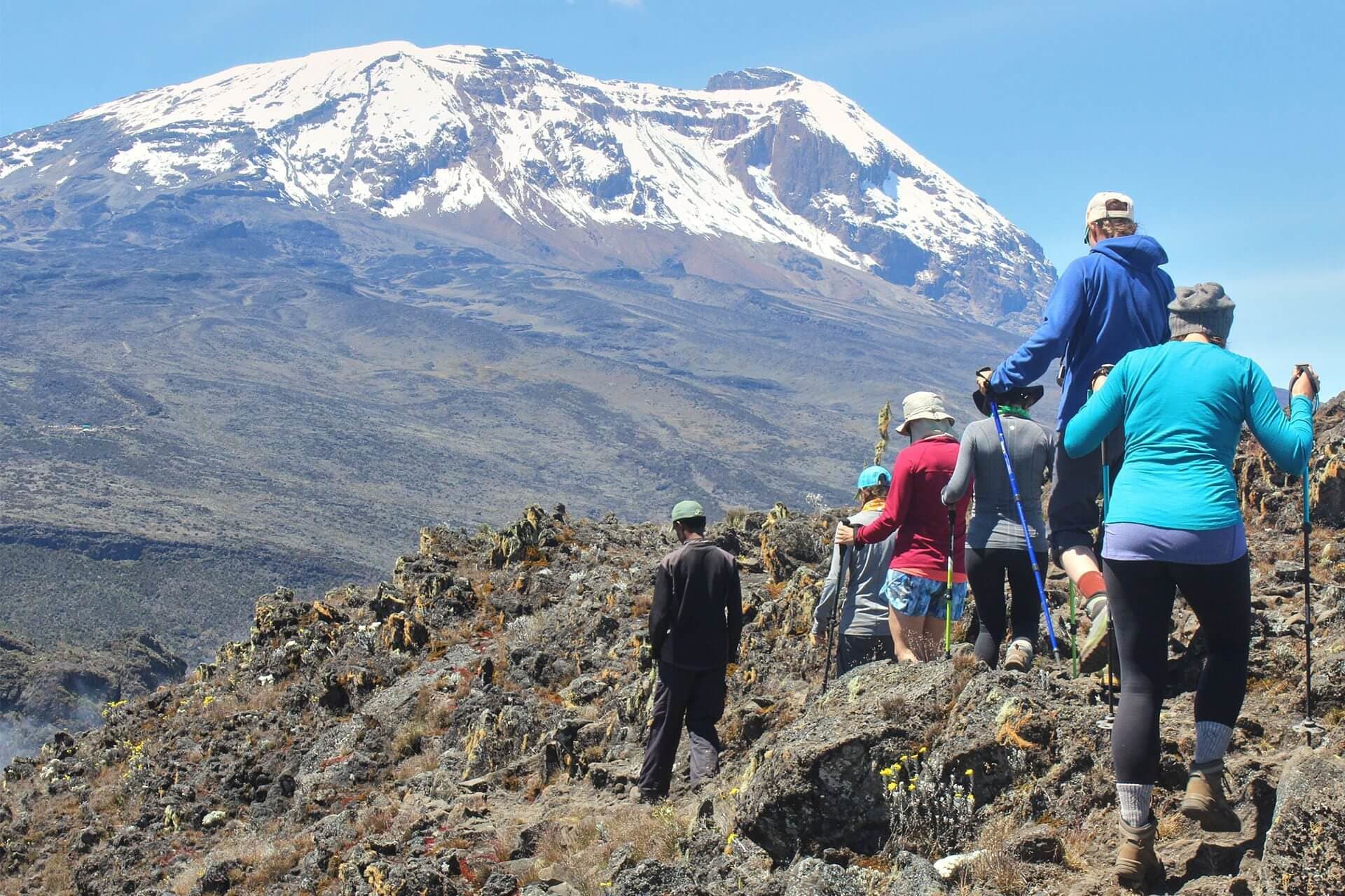 Mount Kilimanjaro National Park Safari – Tanzania
