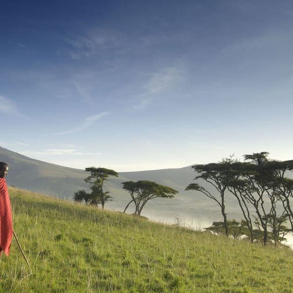 Ngorongoro Crater Safari – Tanzania's Wildlife Wonder - image 5