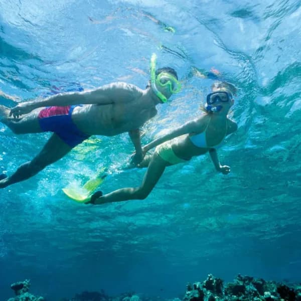 Pungume Island & Dolphin Experience – Zanzibar - image 2