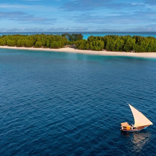 Mnemba Island Snorkelling Trip – Zanzibar - image 4