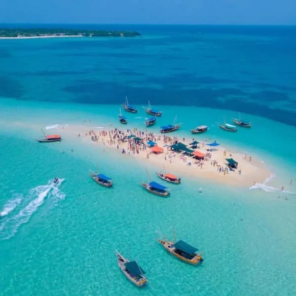Safari Blue Full-Day Trip – Zanzibar - image 4