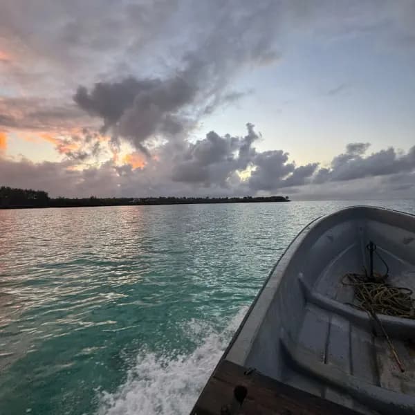 Zanzibar Deep Sea Game Fishing - image 4
