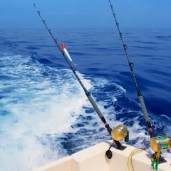 Zanzibar Deep Sea Game Fishing - image 3