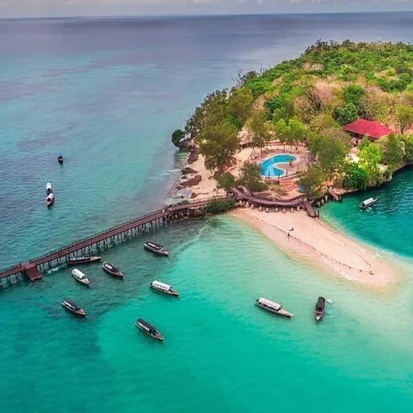 Prison Island Tour – Zanzibar - image 4