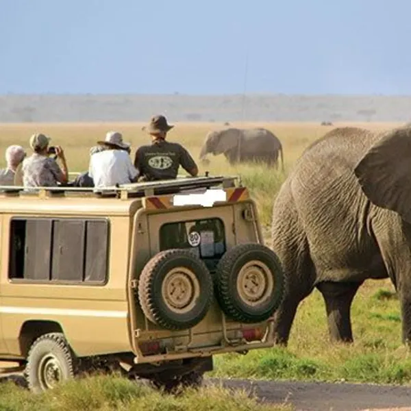 Serengeti National Park Safari – Tanzania - image 3