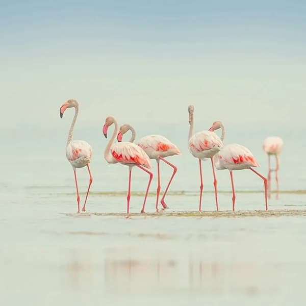 Arusha National Park Safari – Tanzania - image 2