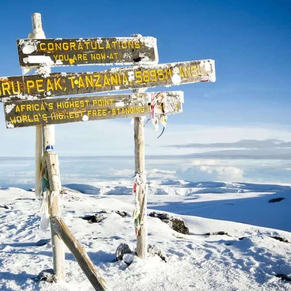 Mount Kilimanjaro National Park Safari – Tanzania - image 3