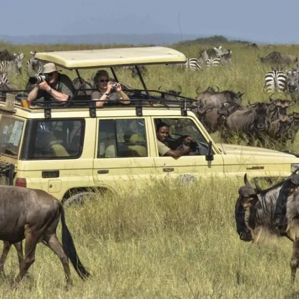 Mount Kilimanjaro National Park Safari – Tanzania - image 2