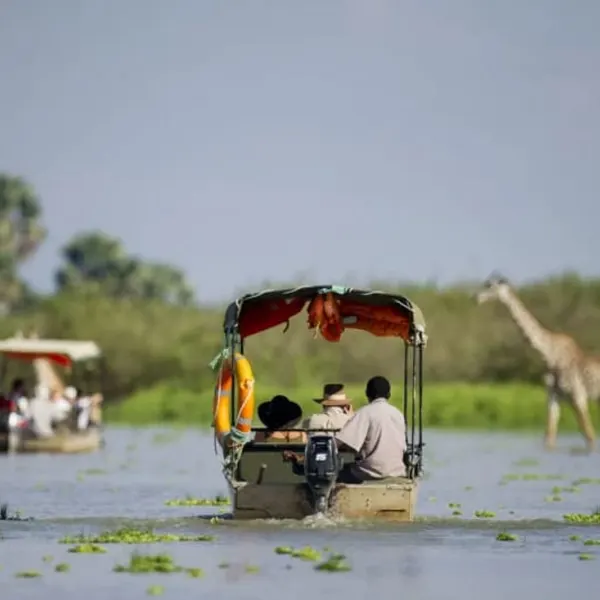 Nyerere National Park Safari – Tanzania - image 2