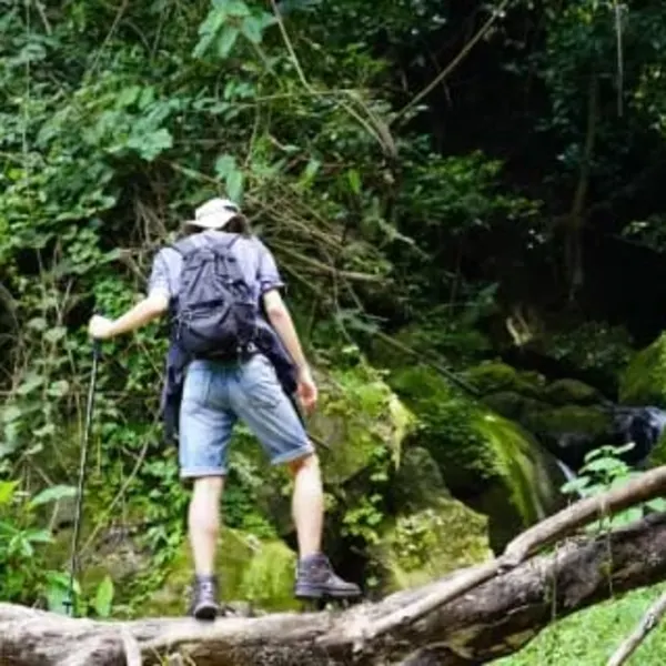 Udzungwa Mountains National Park – Tanzania - image 3