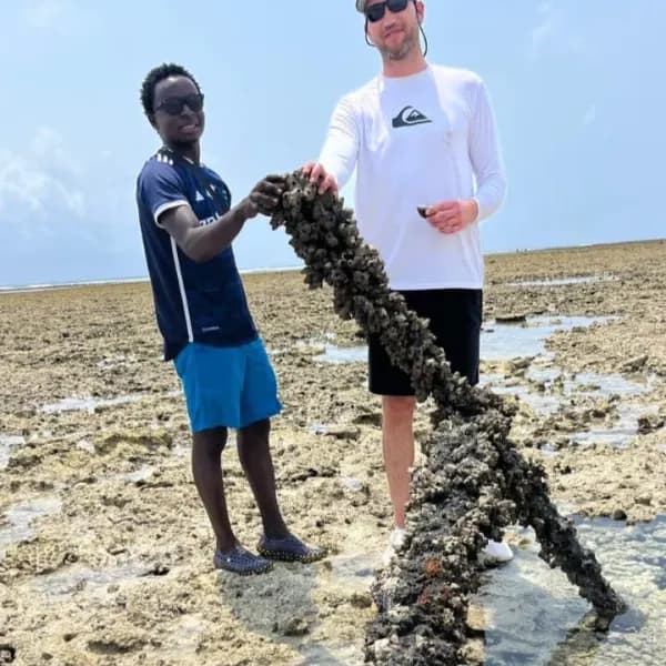 Jambiani Reef Walking & Octopus Fishing – Zanzibar - image 3