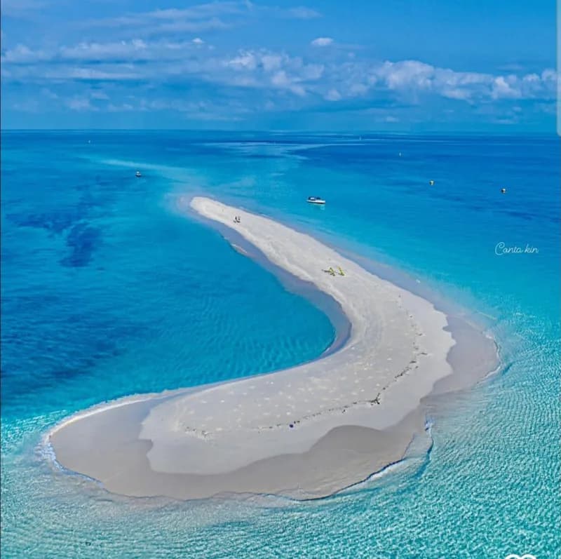 Pungume Island & Dolphin Experience – Zanzibar