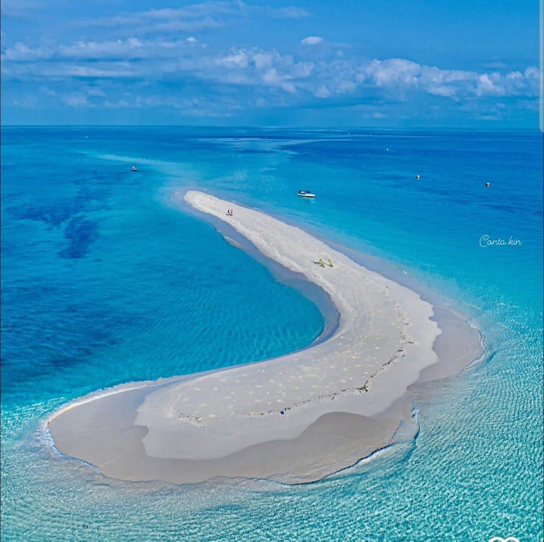 Pungume Island & Dolphin Experience – Zanzibar