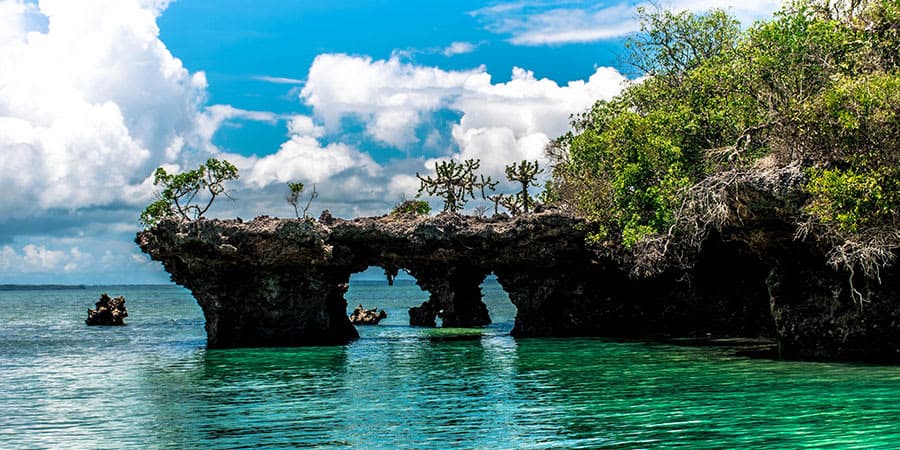 Safari Blue Full-Day Trip – Zanzibar