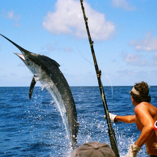 Zanzibar Deep Sea Game Fishing