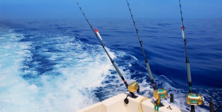 Zanzibar Deep Sea Game Fishing