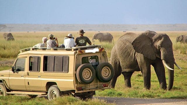 Serengeti National Park Safari