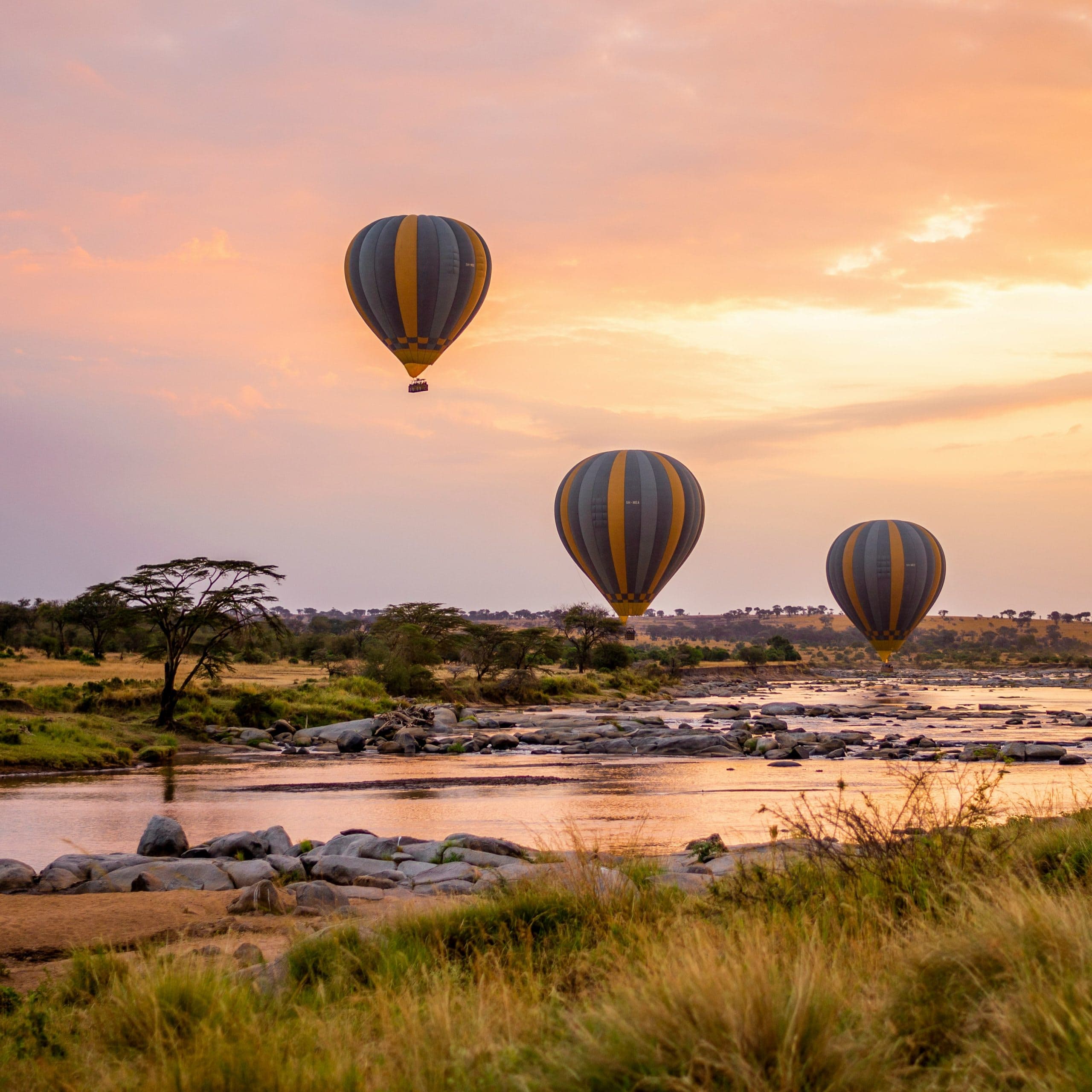Serengeti National Park Safari