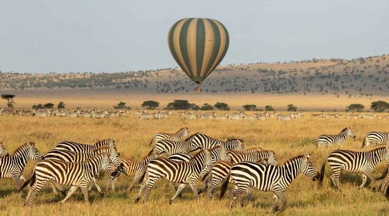 Tarangire National Park Safari