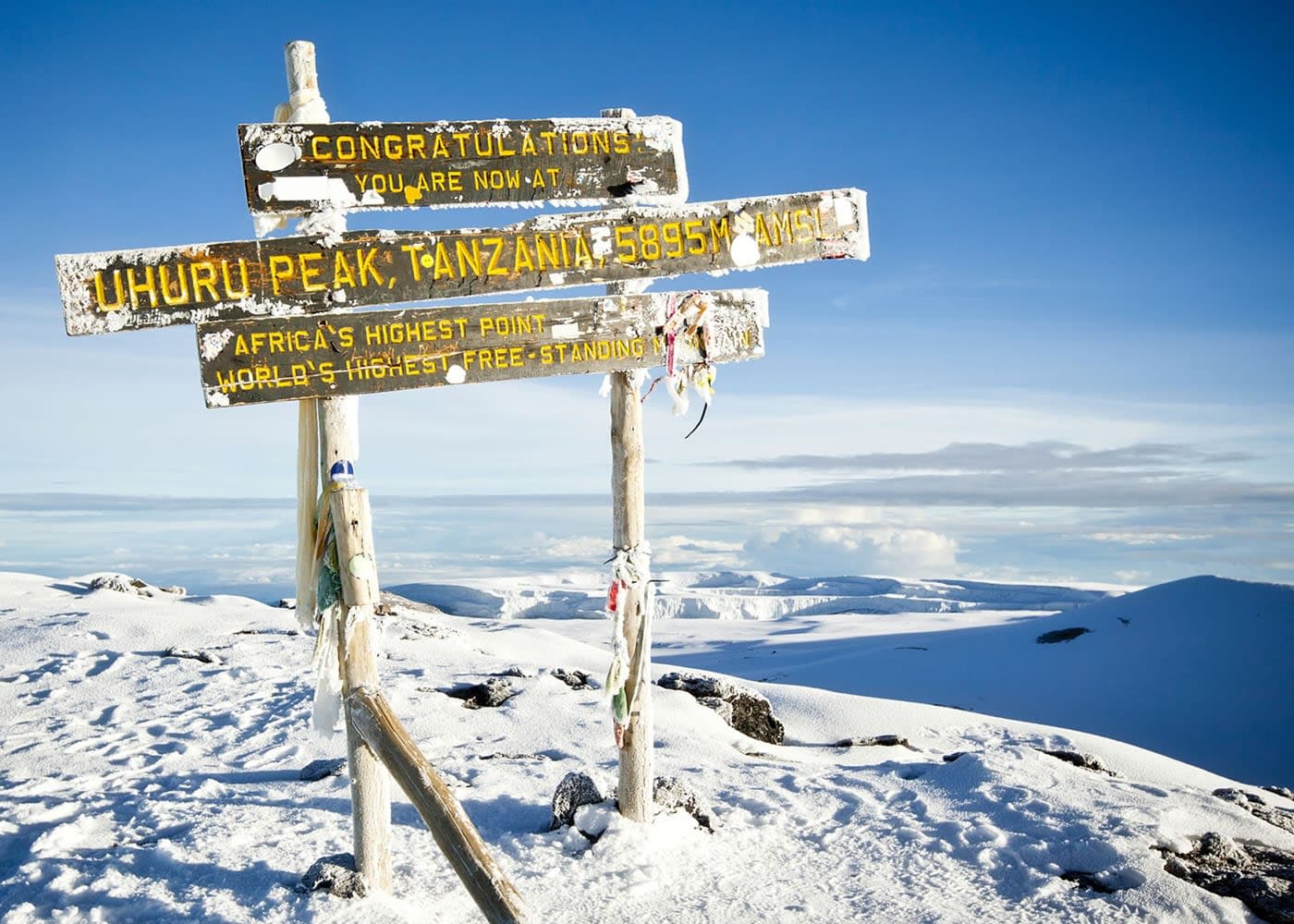 Mount Kilimanjaro National Park Safari