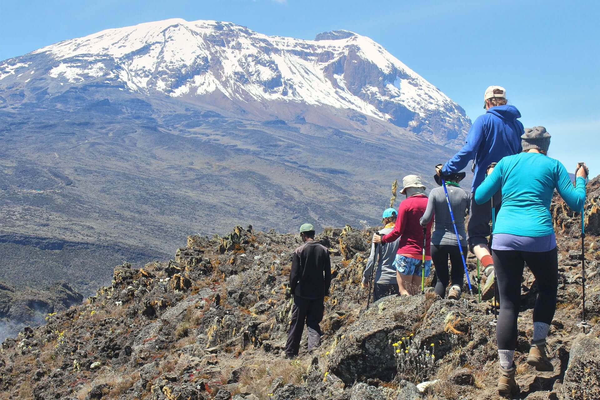 Mount Kilimanjaro National Park Safari