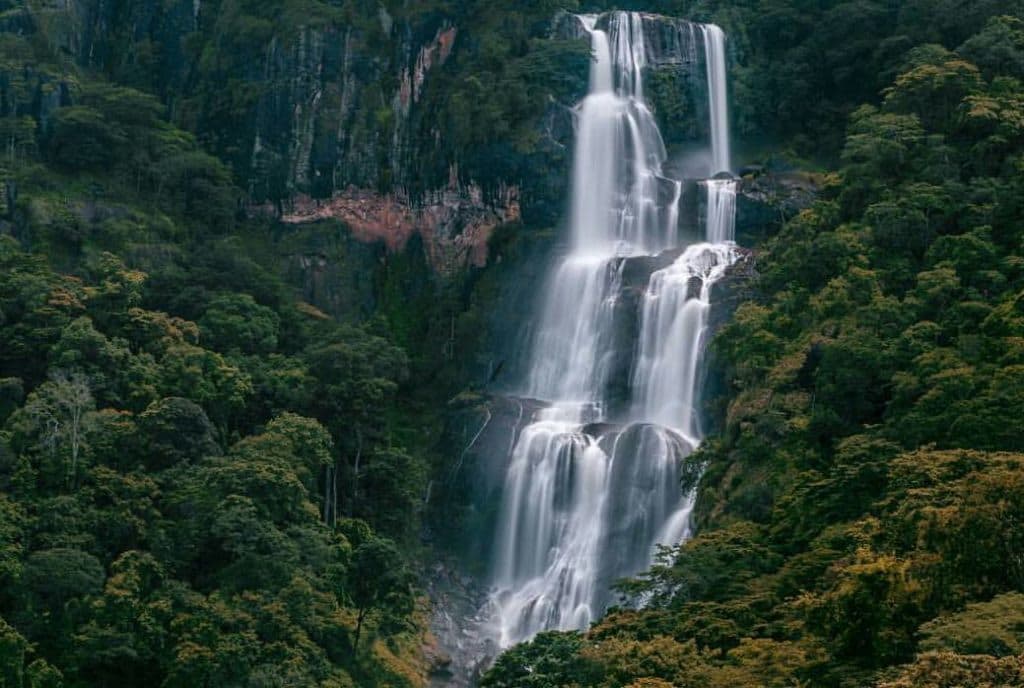 Udzungwa Mountains National Park