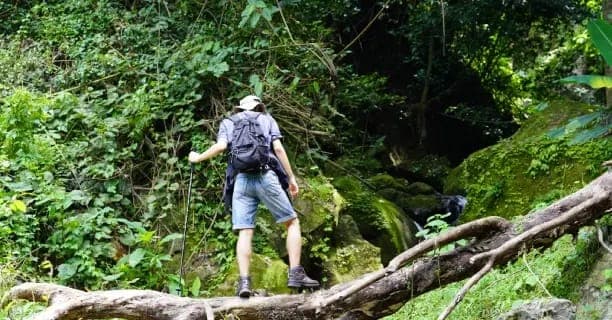 Udzungwa Mountains National Park