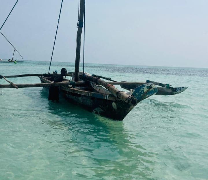 Jambiani Reef Walking & Octopus Fishing